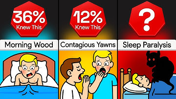 Comparison: Every Body Glitch Explained