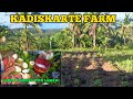 Wowkadiskarte farm update