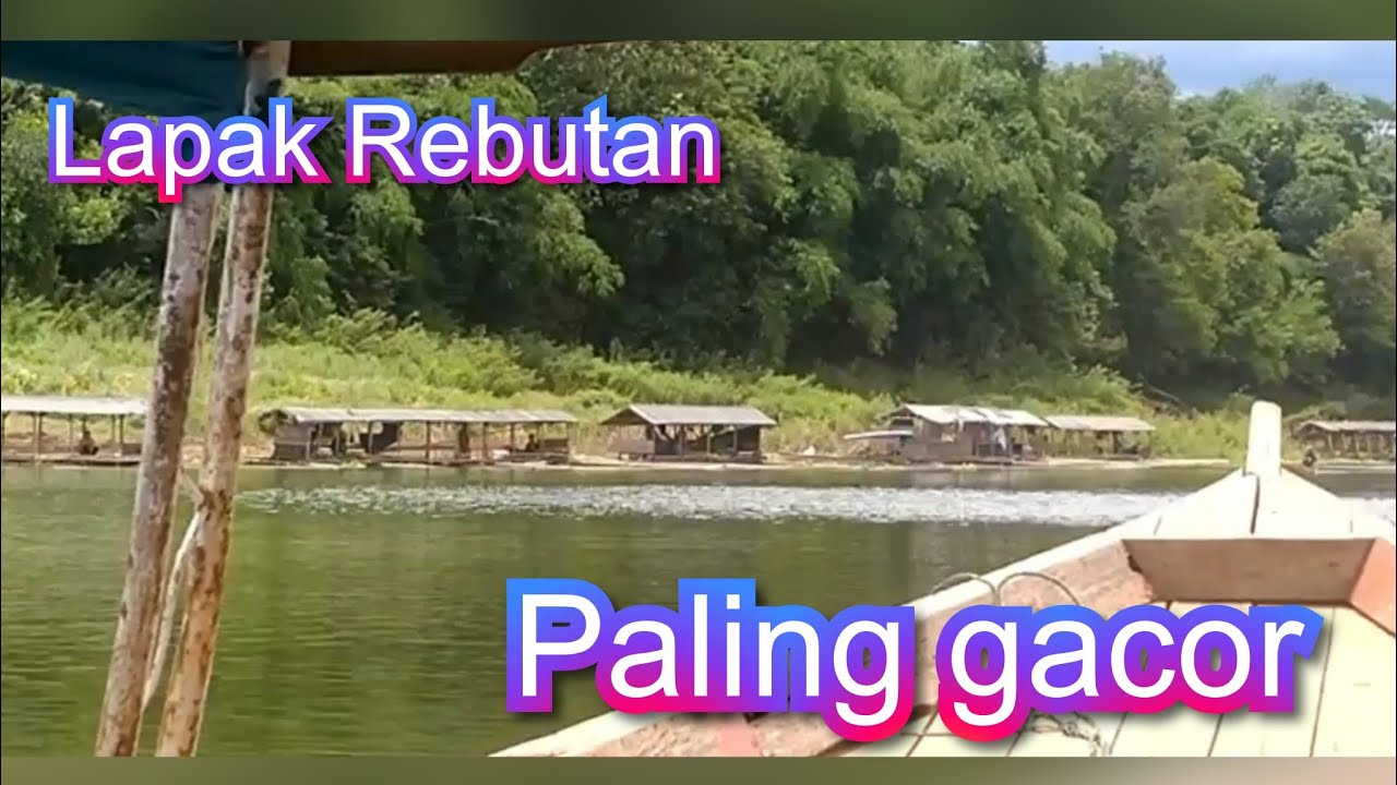 Lapak TERGACOR saat ini