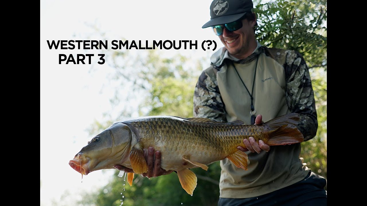 Warmwater Fly Fishing Trip | Fishing a New River To Find Smallmouth