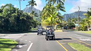 Kailua Carts is Open! 🤙🏼