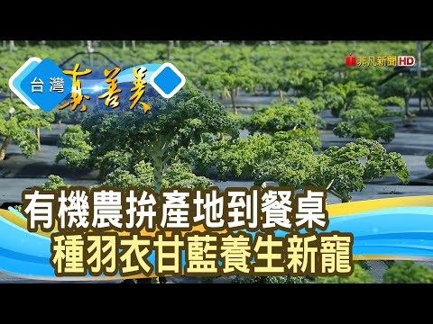 用愛澆灌”有機一條龍”|碧蘿村有機農場|【台灣真善美】2024.04.07