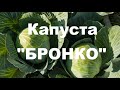 Подкормка капусты "Бронко" + таблица удобрения