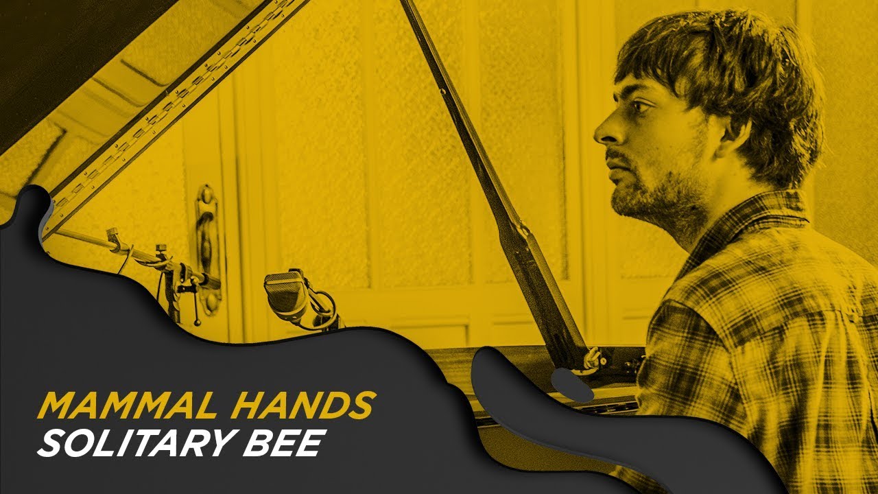 MAMMAL HANDS - SOLITARY BEE 