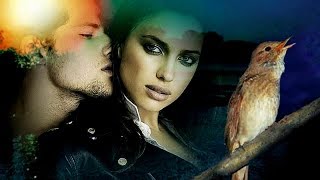 ПОСЛУШАЙТЕ!!! Душевная Песня о Любви - Я Шел к Тебе | Игорь Кандура ПОСЛУШАЙТЕ!!! Душевная Песня о Любви - Я Шел к Тебе | Игорь Кандура