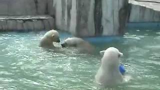 6月19日 親子でプール遊び