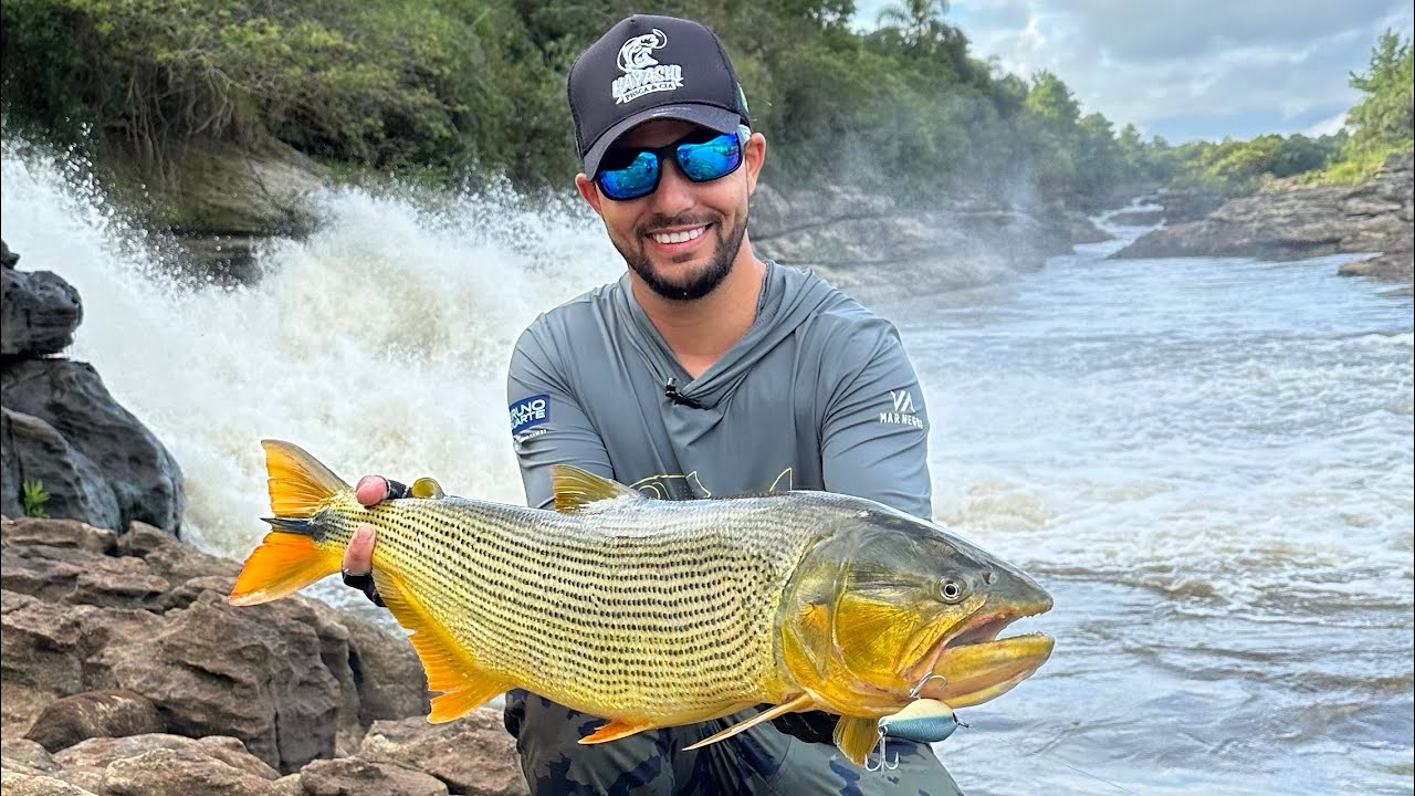 O PARAÍSO EXISTE | RIO IGUAÇU | EPISÓDIO 3 | PESCARIA DE DOURADO