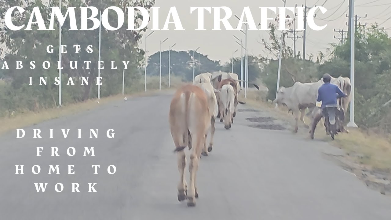 Cambodia Traffic Gets Absolutely Insane | Driving from home to work