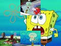 spange bob