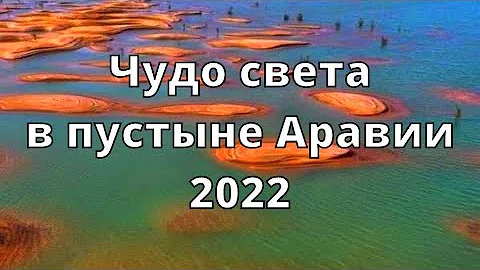 Чудеса света в пустыне! Саудовская пустыня превращается в тысячи озёр