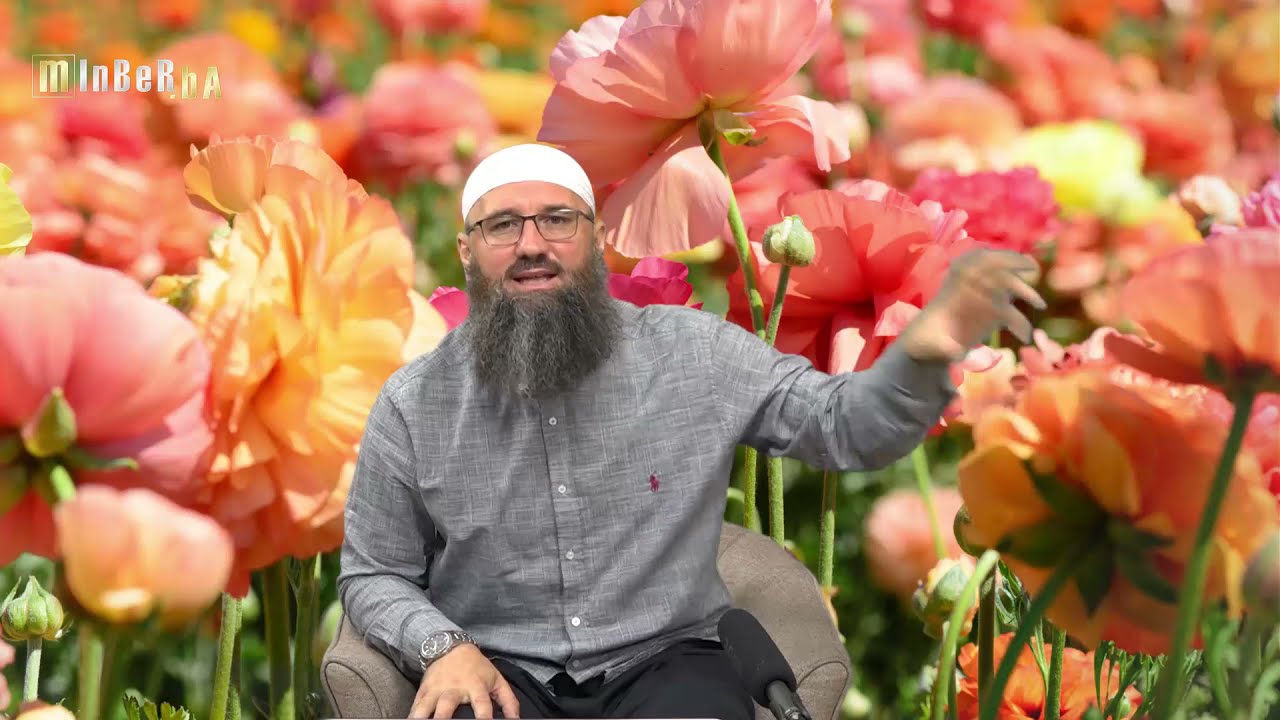 Pitanja i odgovori 7.dio_mr. Elvedin Pezić