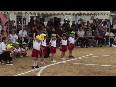 運動会 3歳児かけっこ