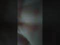 @SnowmanguyII