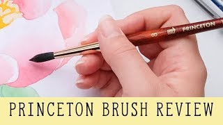 Princeton Neptune Watercolour Brush Review - Is It As Good As They Say?
