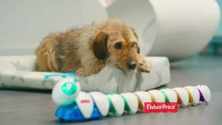 Fisher-Price - Think & Learn Code-a-Pillar 'Zig and Zag' Net Worth