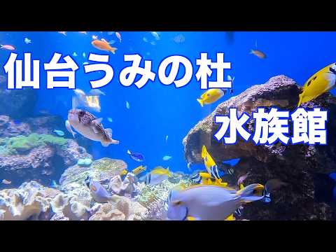 充実の一日　仙台うみの杜水族館
