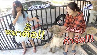 หมาดื้อ!! ต้องโดนกำจัด!!! | แม่ปูเป้ เฌอแตม Tam Story