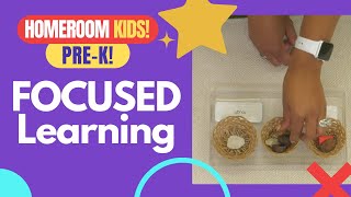 Homeroom Kids! Pre-K!: Focused Learning - Sorting and Classifying by Texture!