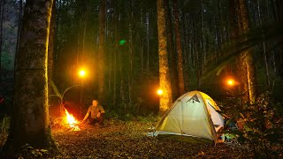 Camping Bersantai Menikmati Suasana Hutan Dengan Api Unggun