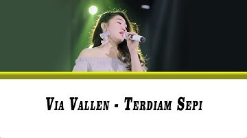Via Vallen - Terdiam Sepi (Video lirik)