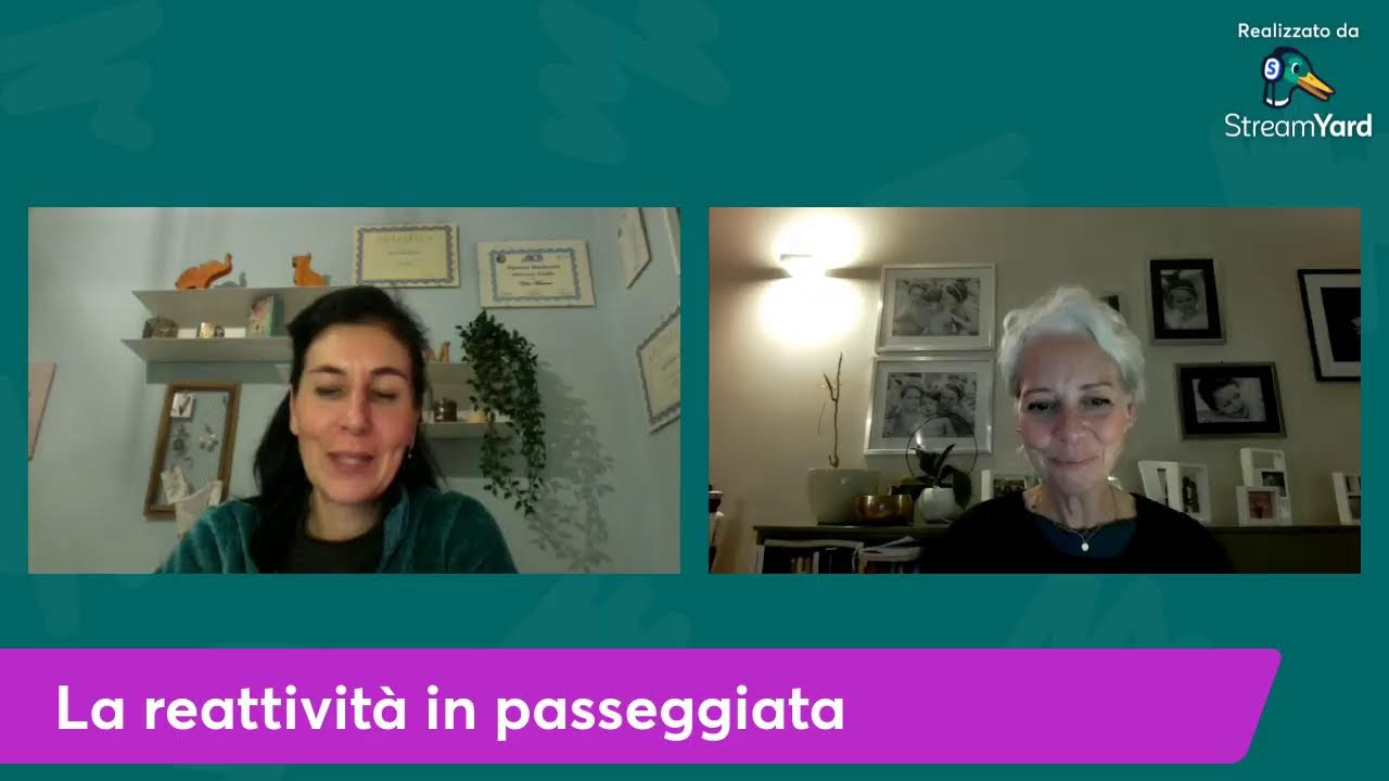 La reattività in passeggiata