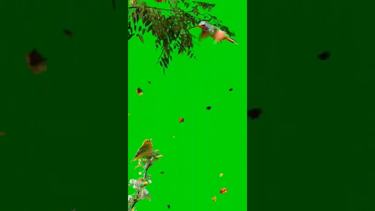Tree falling with plants green screen effect(chroma key)video 720p/alizey shah youtube