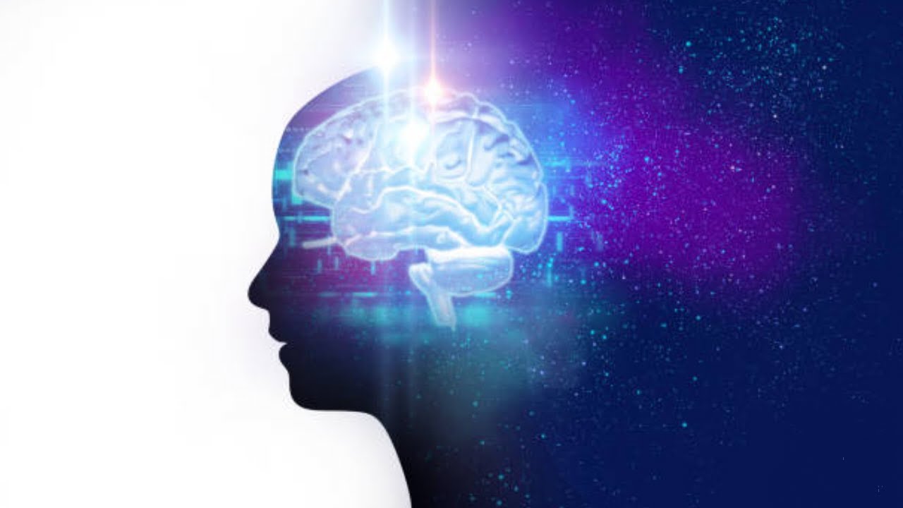 How  much  data  can  our  brain  store ?