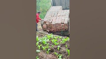 The Process Of Unloading Bricks From A Truck