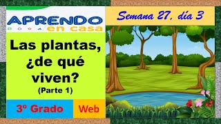 Las plantas, ¿De qué viven? parte 1, SEMANA 27  DÍA 3 Web 3º