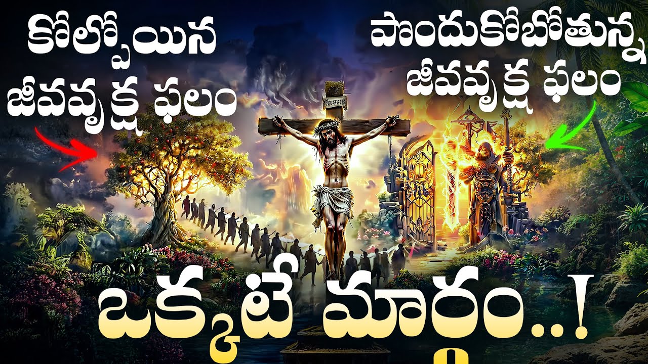 🌳 Дерево жизни, ведущее на небеса | ИИСУС ХРИСТОС — ДЕРЕВО ЖИЗНИ | #эдем #творение #библия