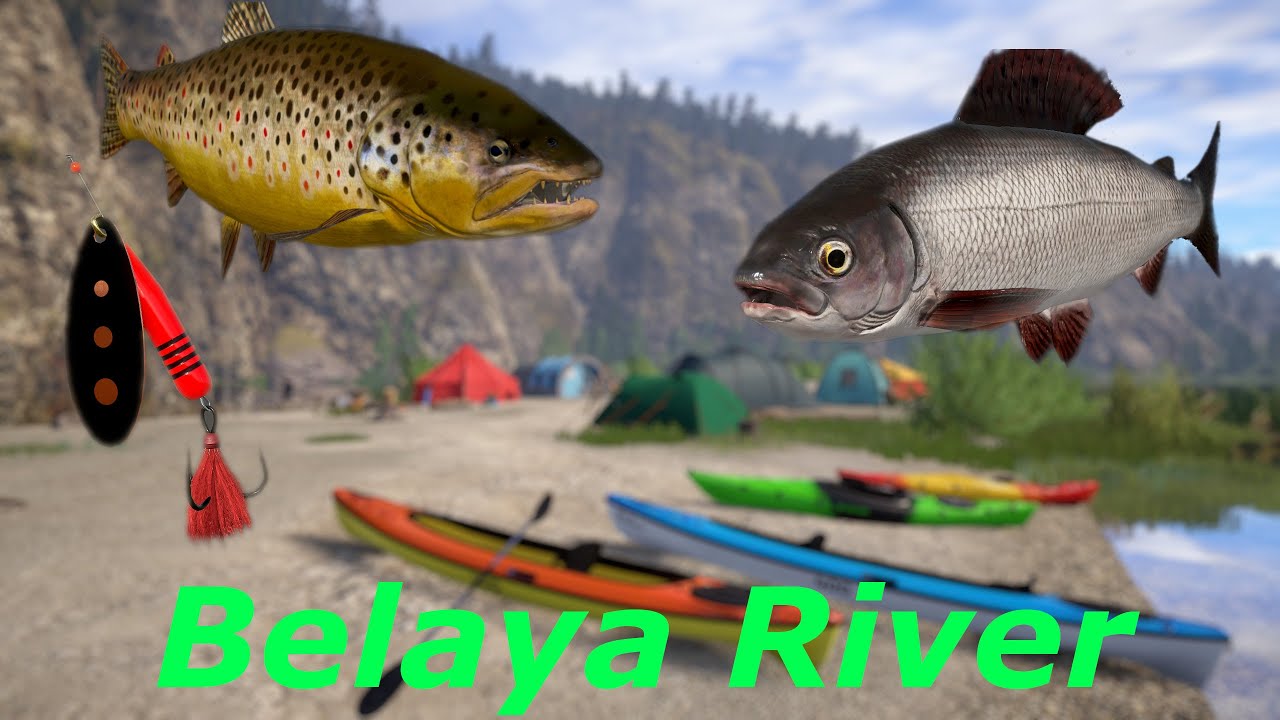 Russian Fishing 4 Belaya River Grayling & Brown trout rf4 spot 116