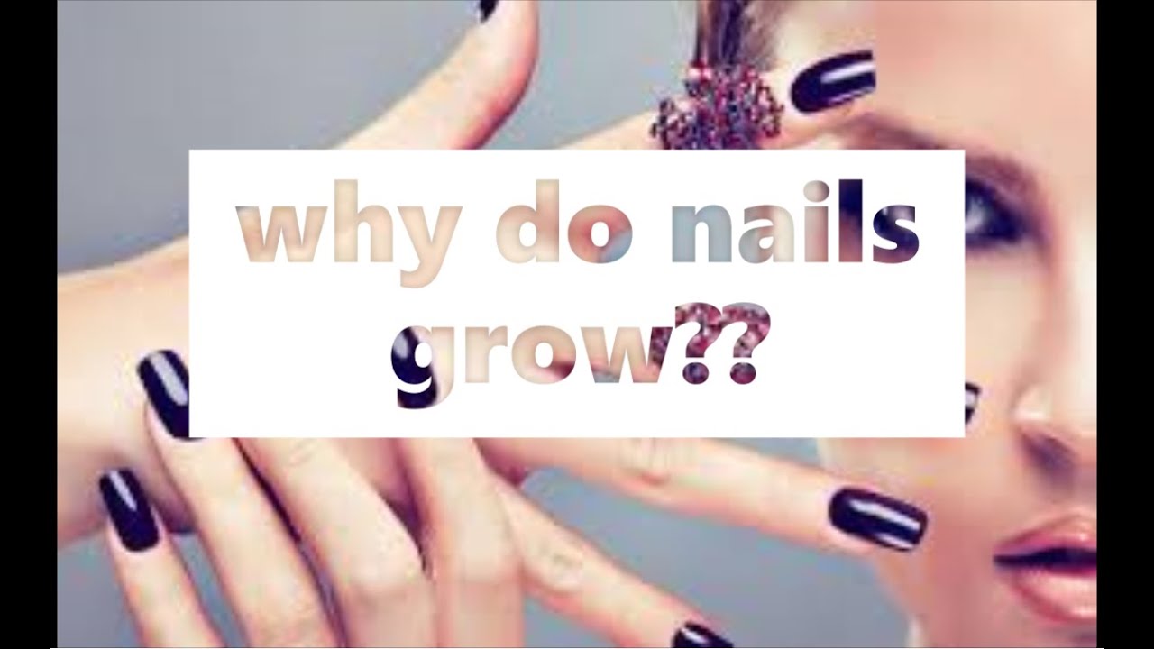 WHY do nails grow?DID YOU KNOW! YouTube