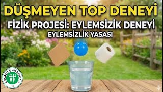 5.Grup Eylemsizlik Deneyi