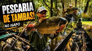 SÓ TAMBAQUI BRUTO NO IGAPÓ, AQUI A PESCARIA É BRUTAL NA SELVA DO AMAZONAS 