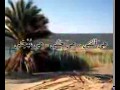 انشودة هي ليبيا للمنشد الليبي محمود المالكي انشودة هي ليبيا للمنشد الليبي محمود المالكي