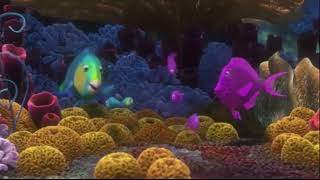 I'd rather let you play in the sponge beds