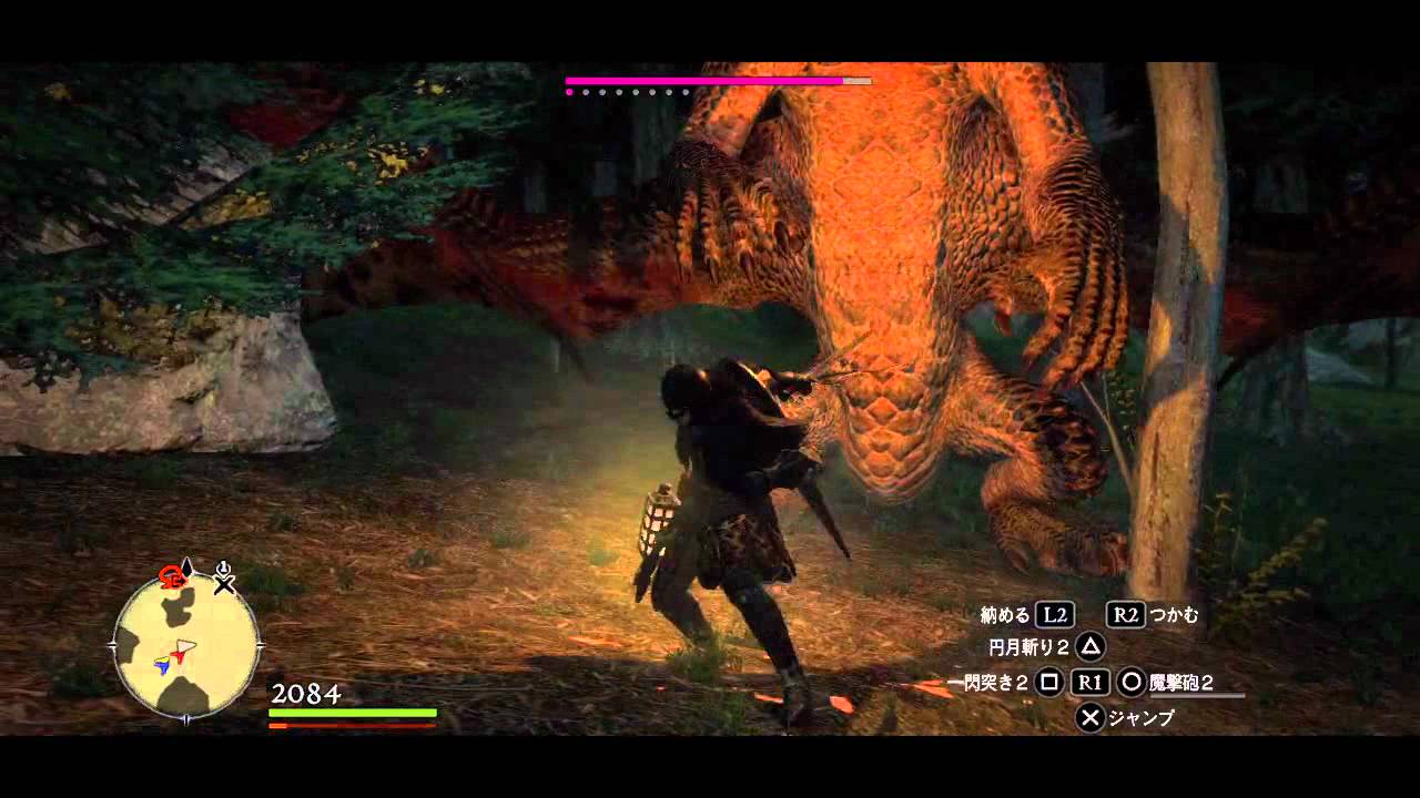 Dragon S Dogma ドラゴンズドグマ ドラゴン戦 Youtube