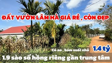 Bán Đất Lâm Đồng GIÁ RẺ 1.9 Sào Vườn Cây Ao Cá Gần Trung Tâm