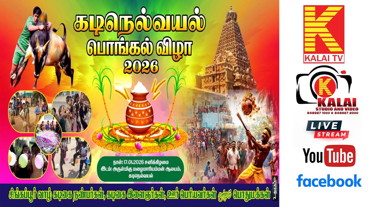 🔴நேரலை | நமது கடிநெல்வயல் பொங்கல் விழா | kalaitv photography