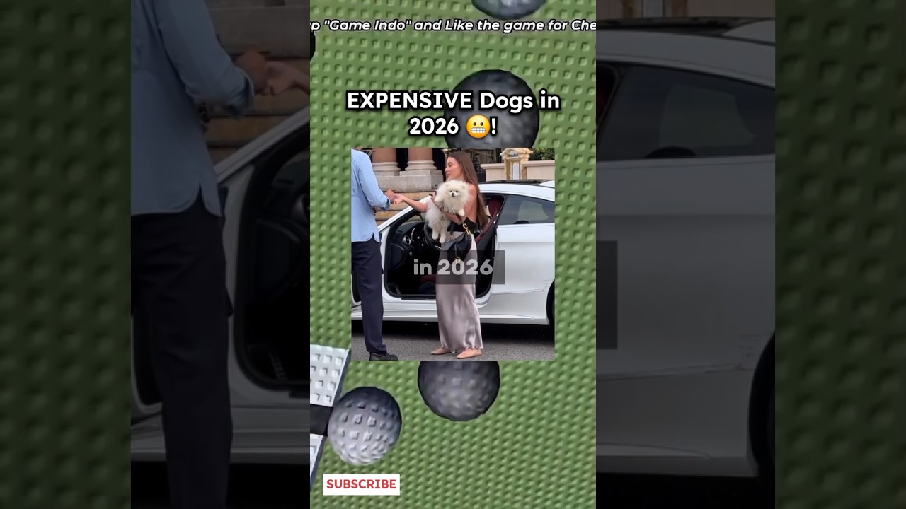 These Are the Most Expensive Dogs in 2026 🐶💰