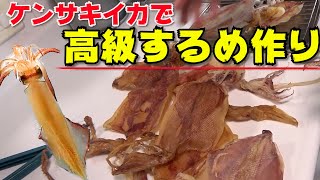 【イカの捌き方】簡単で美味しい一夜干しとするめの作り方　釣れすぎたケンサキイカで高級スルメを作る