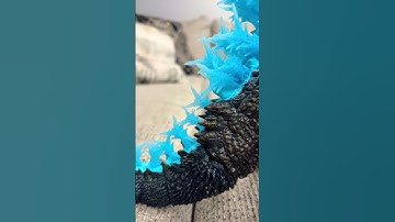 Godzilla minus one stop motion, atomic breath, test