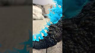 Download Lagu Godzilla minus one stop motion, atomic breath, test MP3