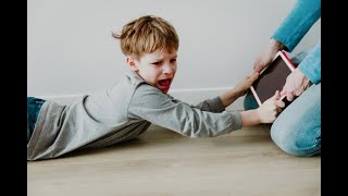 Counseling Children and Adolescents