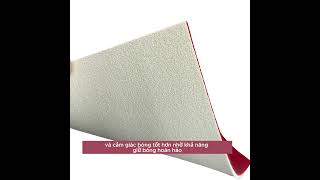 Yasaka Rakza Xx - Sức Mạnh Tấn Công Tốc Độ Vượt Trội Nhất Trong Dòng Rakza