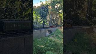 Over the small bridge #train #railway #marklin #spur1 #gardenrailway