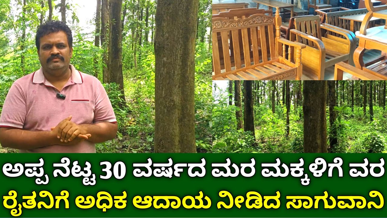 ಅಪ್ಪ ನೆಟ್ಟ 30 ವರ್ಷದ ಮರ ಮಕ್ಕಳಿಗೆ ವರ | Teak Wood Cultivation in Kannada | Agroforestry Farming Kannada