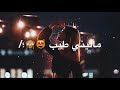 سيف نبيل - حبني بجنون 2019 مع الكلمات 😻🙊
