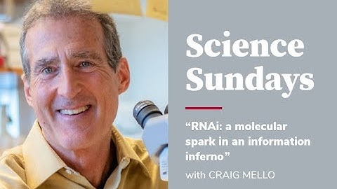 RNAi: a molecular spark in an information inferno - Craig Mello