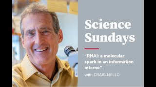 RNAi: a molecular spark in an information inferno - Craig Mello